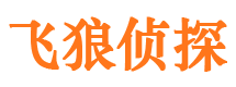 太白外遇调查取证